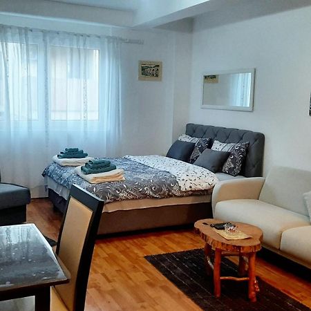 Apartman Andric Višegrad エクステリア 写真