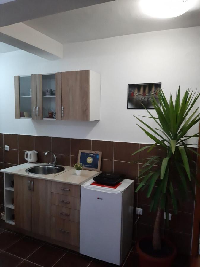 Apartman Andric Višegrad エクステリア 写真
